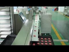 شرائح البسكويت المغلفة الآلات 100 جرام آلة تصنيع البسكويت